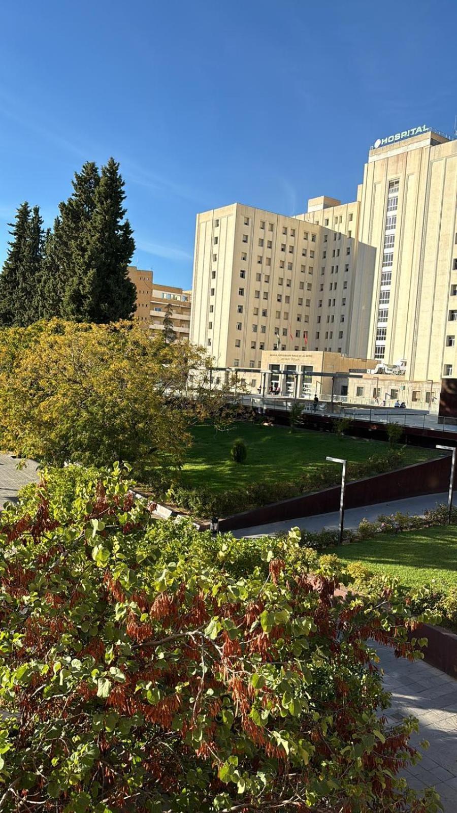 דירות גרנדה Plaza De La Caleta 2 מראה חיצוני תמונה